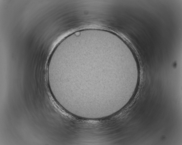 X0000115121238200912081337