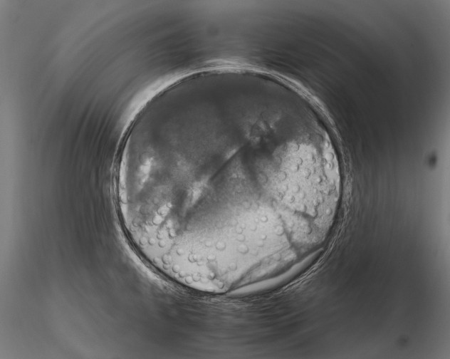 X0000115121239200912081337