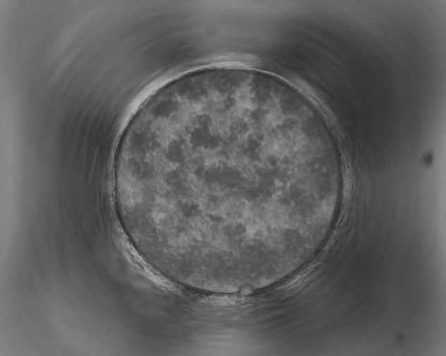 X0000115121240200912081337