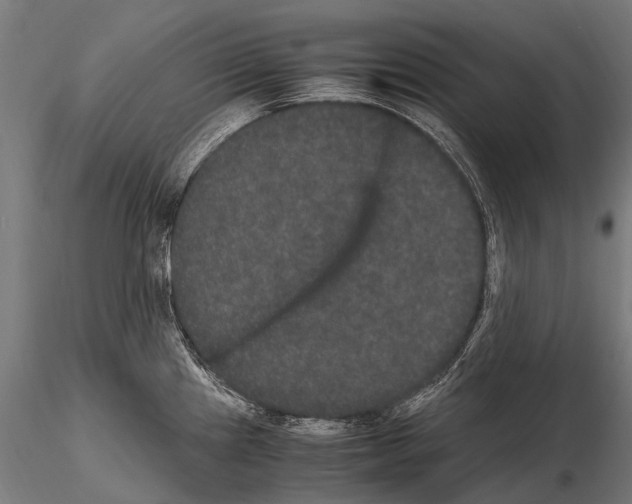 X0000115121241200912081337