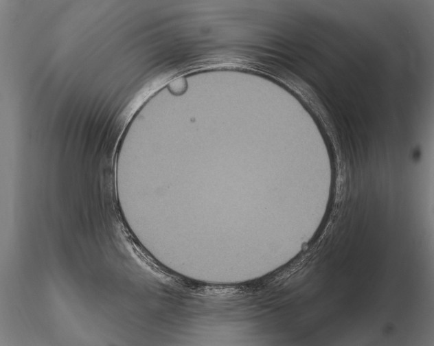 X0000115121242200912081337