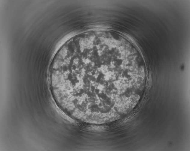 X0000115121243200912081337