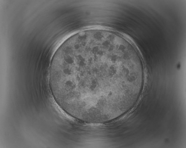 X0000115121244200912081337