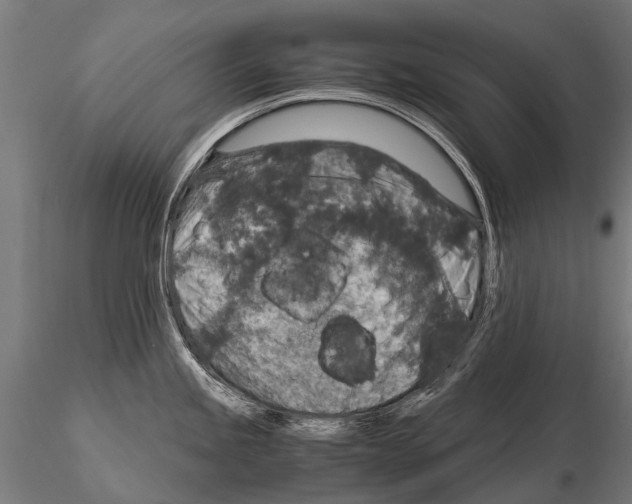 X0000115121245200912081337