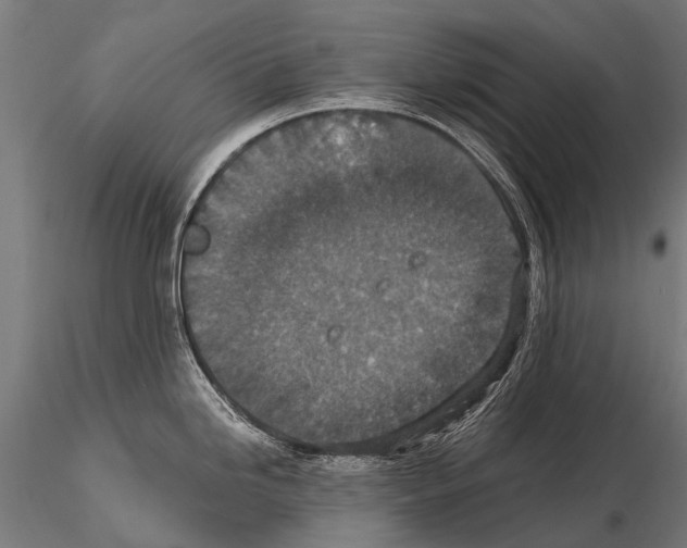 X0000115121246200912081337