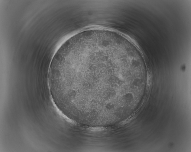 X0000115121247200912081337