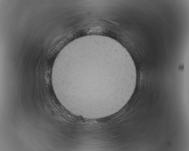 X0000115121250200912081336