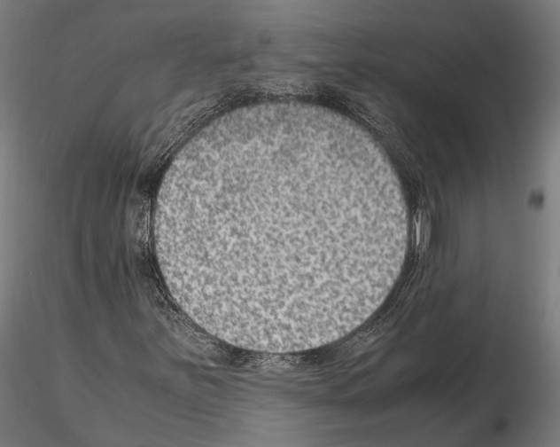 X0000115121251200912081336