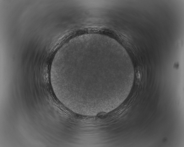 X0000115121252200912081336