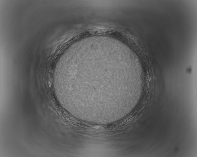 X0000115121253200912081336