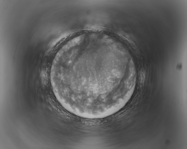 X0000115121254200912081336