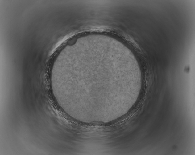 X0000115121256200912081336