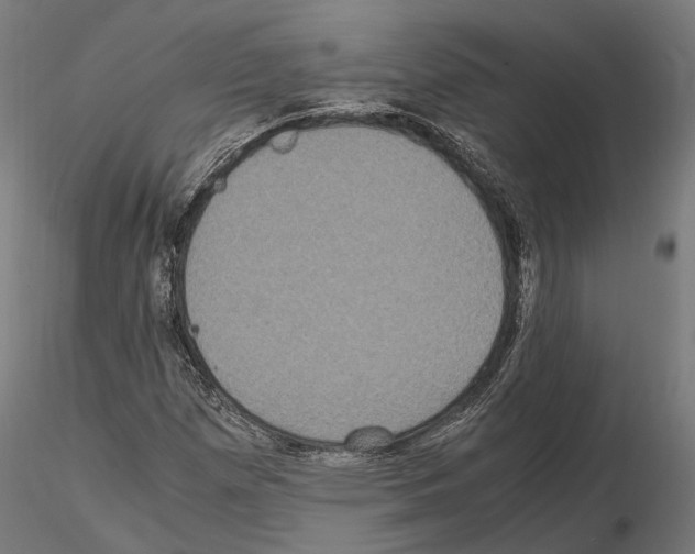 X0000115121257200912081336