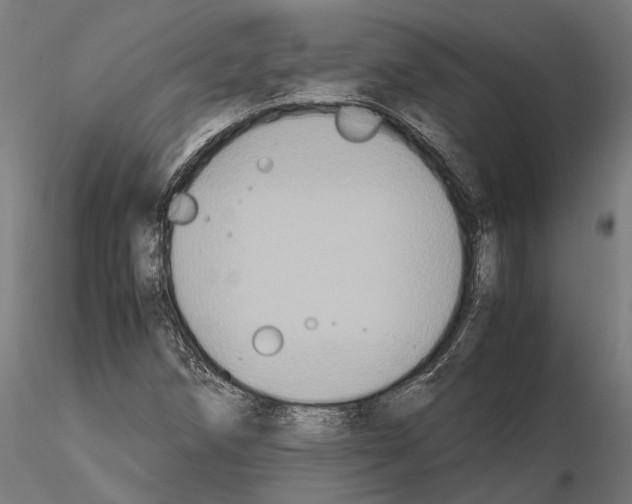 X0000115121258200912081336