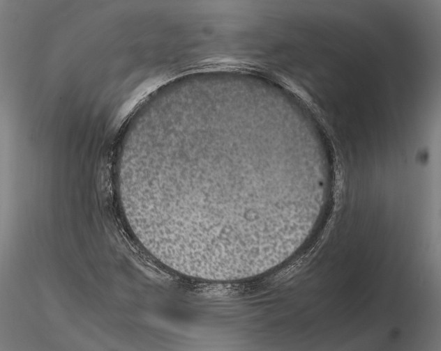 X0000115121259200912081336