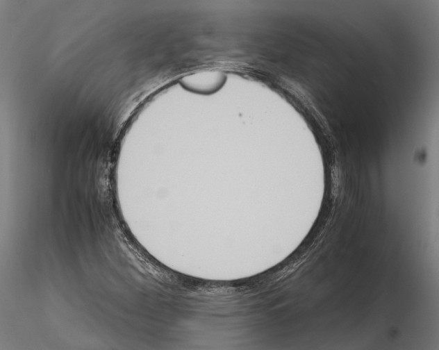 X0000115121260200912081336