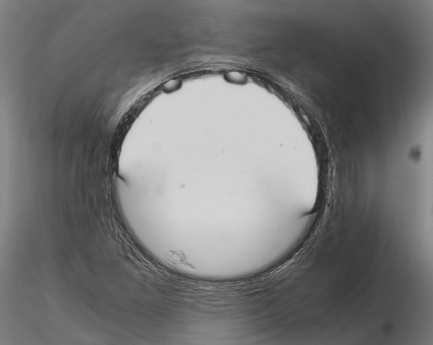 X0000115121261200912081336