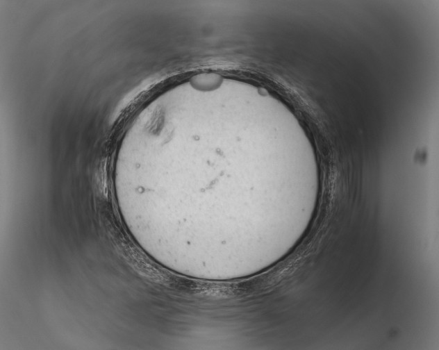 X0000115121262200912081336