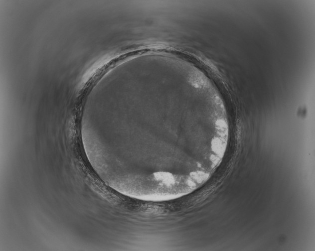 X0000115121263200912081336