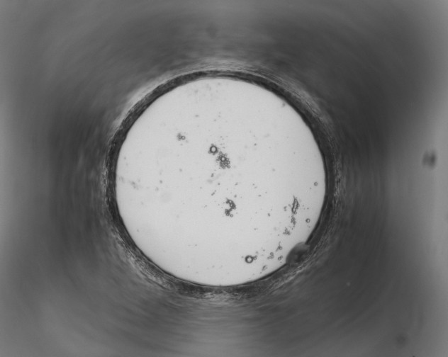 X0000115121264200912081336