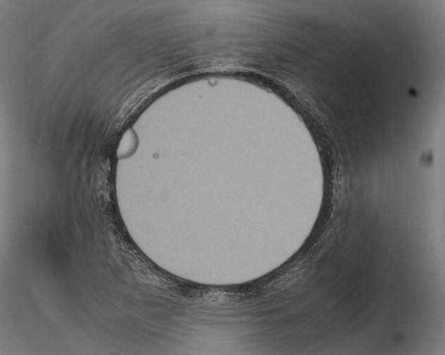 X0000115121265200912081336