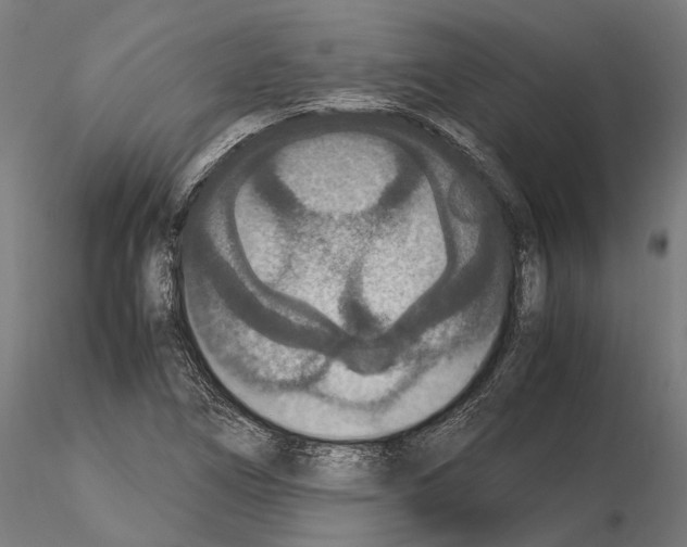 X0000115121266200912081336