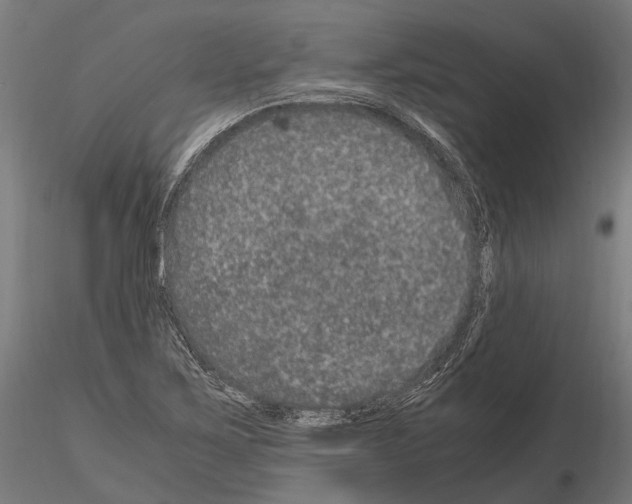 X0000115121267200912081336