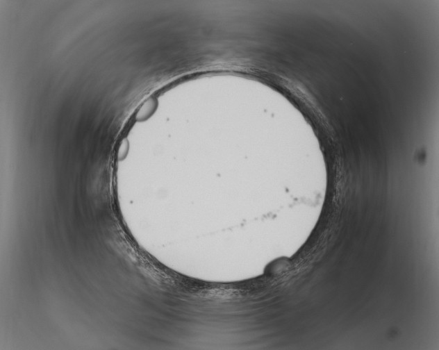 X0000115121268200912081336