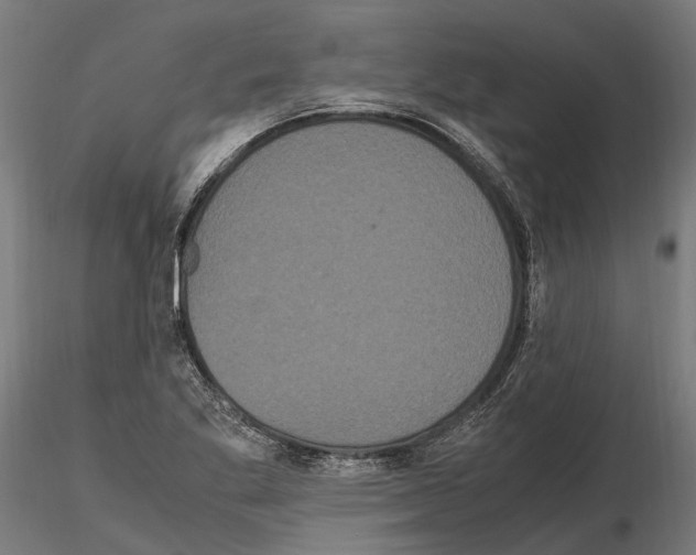 X0000115121269200912081336