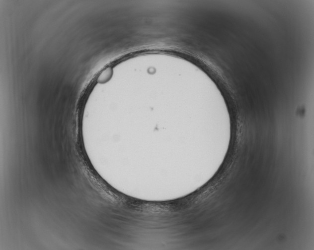 X0000115121270200912081336