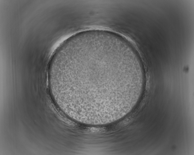 X0000115121271200912081336