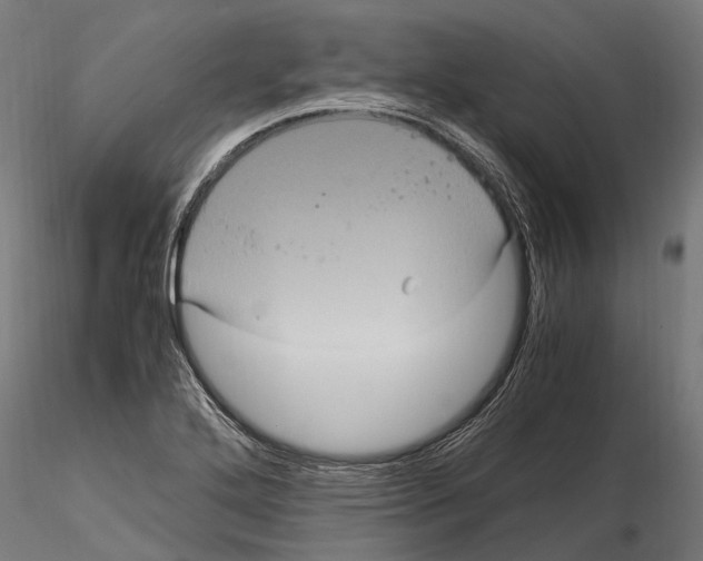 X0000115121272200912081336