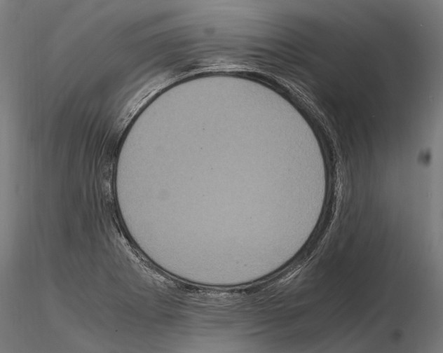 X0000115121273200912081336