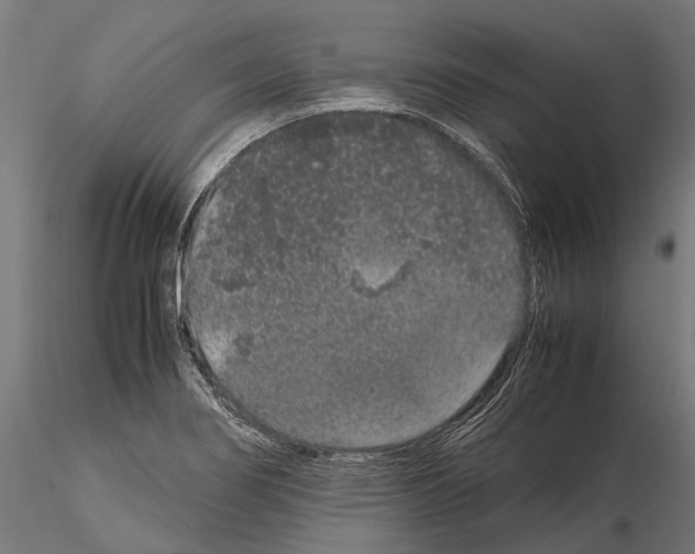 X0000115121274200912081336