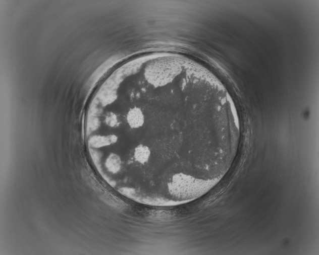 X0000115121275200912081336