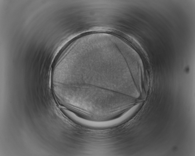 X0000115121276200912081336