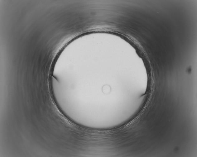 X0000115121277200912081336