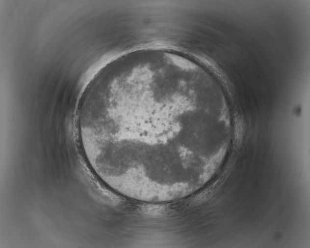 X0000115121278200912081336