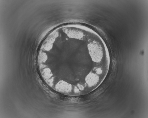 X0000115121279200912081336