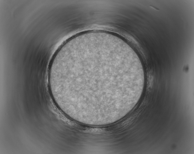 X0000115121280200912081336