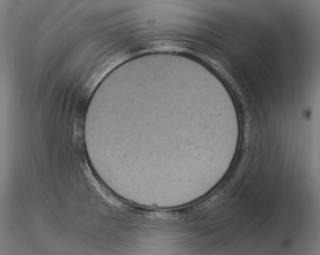 X0000115121281200912081336