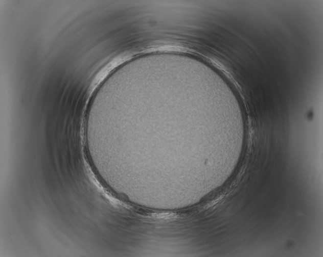 X0000115121282200912081336