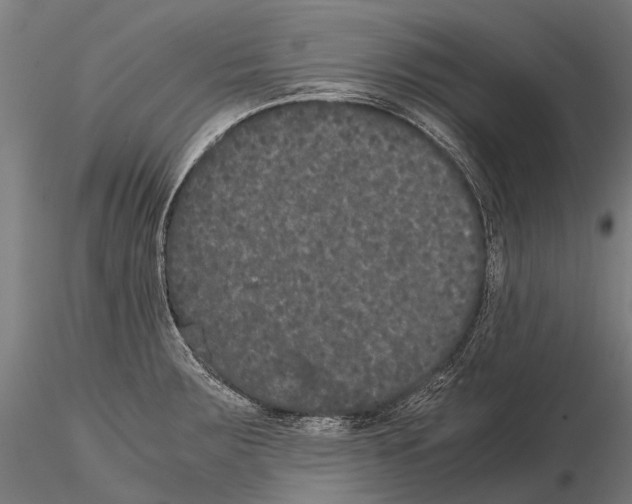 X0000115121283200912081336