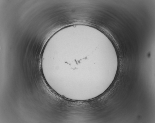 X0000115121284200912081336