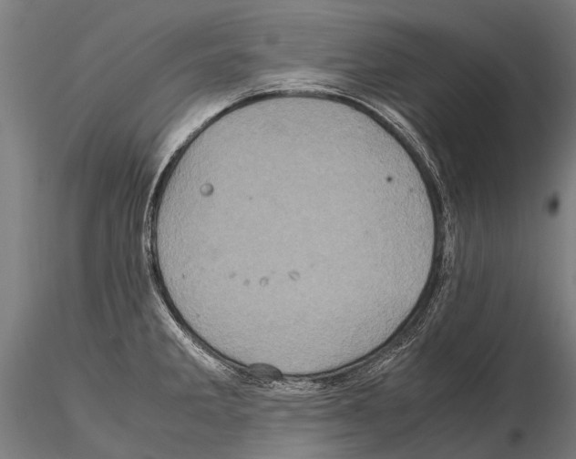 X0000115121285200912081336