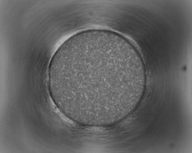 X0000115121287200912081336