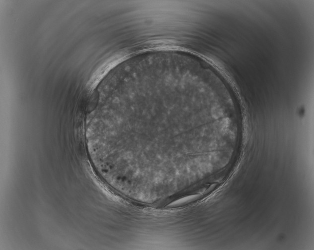 X0000115121289200912081336