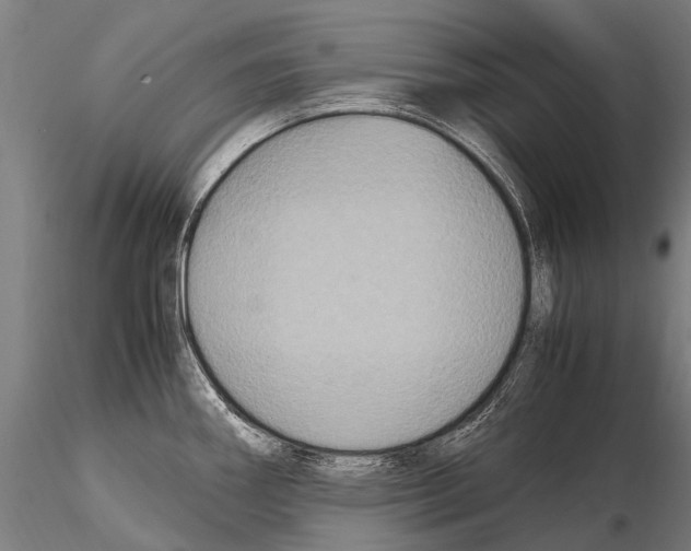 X0000115121290200912081336