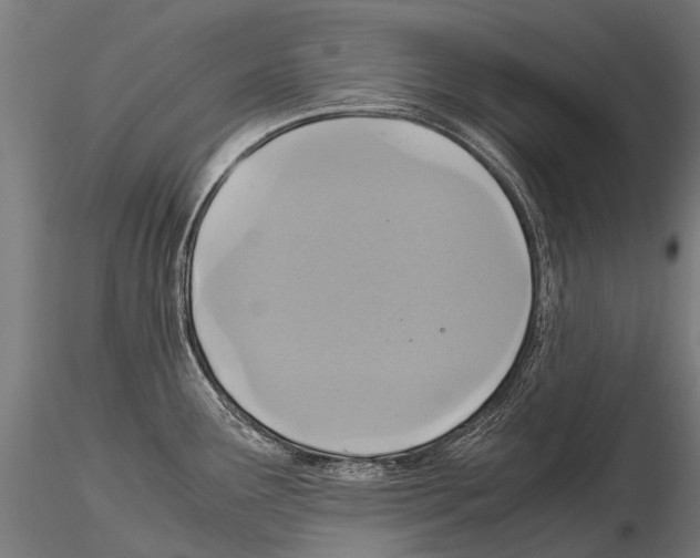 X0000115121291200912081336