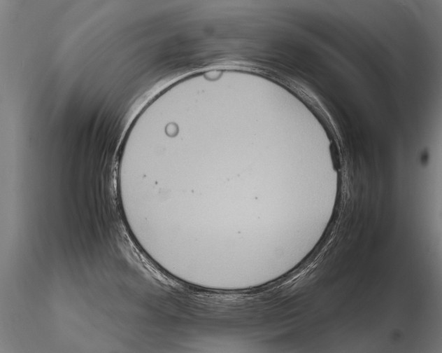 X0000115121292200912081336